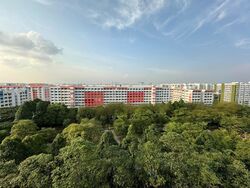 The Canopy (D27), Condominium #466566111